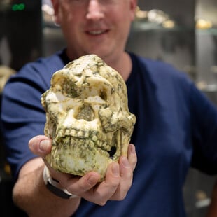 Απολίθωμα-ορόσημο ενδέχεται να ανήκει σε άγνωστο πρόγονο του ανθρώπου