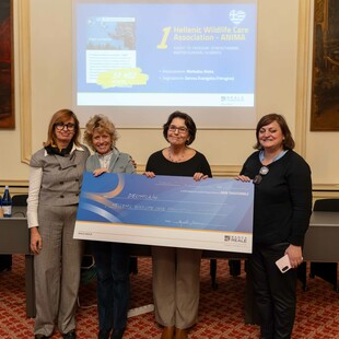 Ελληνική διάκριση στον διεθνή διαγωνισμό «Together 4 a Better World» του Ιδρύματος Reale