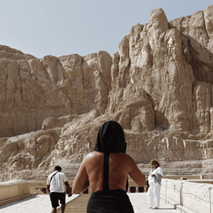 Μέσα από τους ελαιώνες. Ένα πολυποστ του Στάθη Τσαγκαρουσιάνου