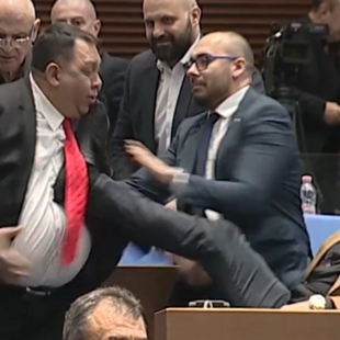 Γροθιές στη Βουλή της Βουλγαρίας λίγες ημέρες πριν από την ένταξη στο ευρώ