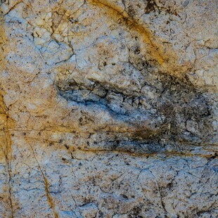 Ιταλία: Χιλιάδες αποτυπώματα δεινοσαύρων εντοπίστηκαν σε εθνικό πάρκο