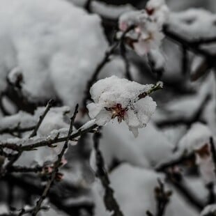ΚΑΙΡΟΣ ΧΡΙΣΤΟΥΓΕΝΝΑ ΠΡΩΤΟΧΡΟΝΙΑ ΚΑΚΟΚΑΙΡΙΑ ΧΙΟΝΙΑ