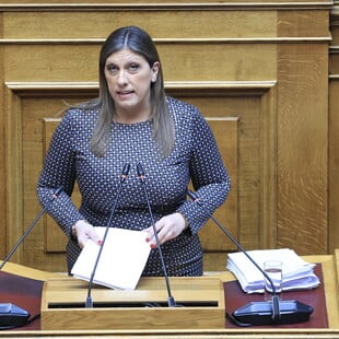 ΖΩΗ ΚΩΝΣΤΑΝΤΟΠΟΥΛΟΥ ΜΚΟ ΕΞΕΤΑΣΤΙΚΗ ΕΠΙΤΡΟΠΗ