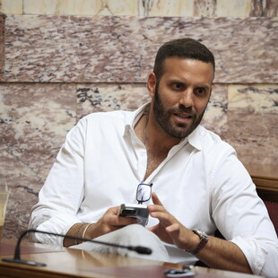 ΝΙΚΟΣ ΠΑΠΠΑΣ ΣΥΡΙΖΑ ΕΠΙΘΕΣΗ ΔΗΜΟΣΙΟΓΡΑΦΟΣ