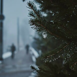 Χριστούγεννα 2025: Κακοκαιρία με καταιγίδες, κρύο και χιόνια - Κορύφωση της επιδείνωσης Τετάρτη και Πέμπτη