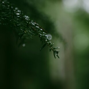 ΚΑΙΡΟΣ ΚΑΚΟΚΑΙΡΙΑ ΕΚΤΑΚΤΟ ΕΜΥ