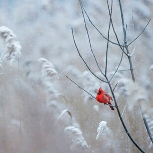 ΚΑΙΡΟΣ ΠΡΩΤΟΧΡΟΝΙΑ ΑΛΛΑΖΕΙ
