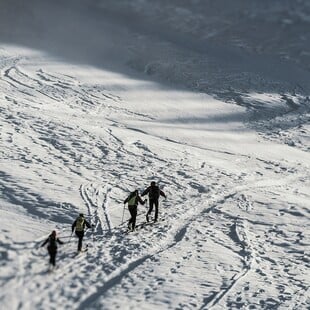 ΝΕΚΡΟΙ ΟΡΕΙΒΑΤΕΣ ΒΑΡΔΟΥΣΙΑ ΠΟΙΟΙ ΕΙΝΑΙ