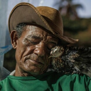 Οι καλύτερες φωτογραφίες του «National Geographic» για το 2025