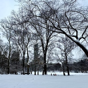 Σφοδρές χιονοπτώσεις στη Νέα Υόρκη: Χάος στις μετακινήσεις και τα αεροδρόμια