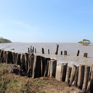 ΠΑΙΔΙΑ ΔΟΛΟΦΟΝΙΑ ΣΟΥΡΙΝΑΜ ΠΑΤΕΡΑΣ ΜΑΧΑΙΡΙ