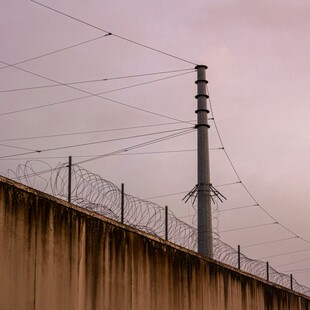 ΣΟΥΡΙΝΑΜ ΔΟΛΟΦΟΝΙΑ ΠΑΙΔΙΑ ΑΥΤΟΚΤΟΝΙΑ