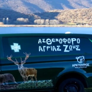 ΑΡΚΤΟΥΡΟς ΑΣΘΕΝΟΦΟΡΟ