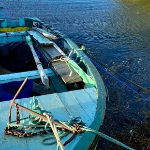 Η Ιρλανδία αντιμέτωπη με «τη δυσκολότερη χρονιά για την αλιεία»