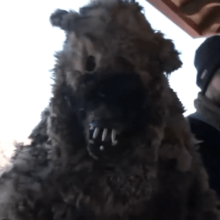 ΡΟΥΓΚΑΤΣΑΡΙΑ ΓΡΕΒΕΝΑ ΕΘΙΜΟ ΠΡΩΤΟΧΡΟΝΙΑ