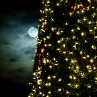 ΠΑΝΣΕΛΗΝΟΣ ΙΑΝΟΥΑΡΙΟΥ 2026 ΝΑΥΠΛΙΟ