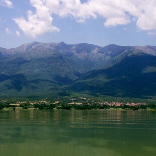 ΣΕΡΡΕΣ ΝΕΚΡΟΣ ΠΥΡΟΣΒΕΣΤΗΣ