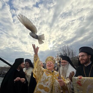 ΦΑΝΑΡΙ ΘΕΟΦΑΝΕΙΑ