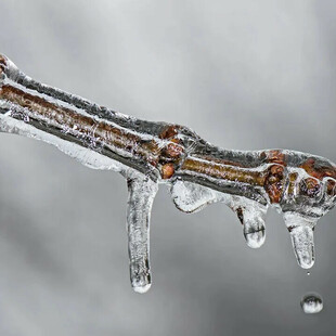 Καιρός - Μαρουσάκης: Έρχεται νέο κύμα ψύχους με τσουχτερό κρύο και χιόνια