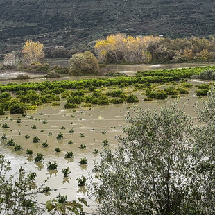 ΚΑΛΑΜΑΣ ΥΠΕΡΧΕΙΛΙΣΗ ΠΟΤΑΜΟΣ ΒΡΟΧΗ