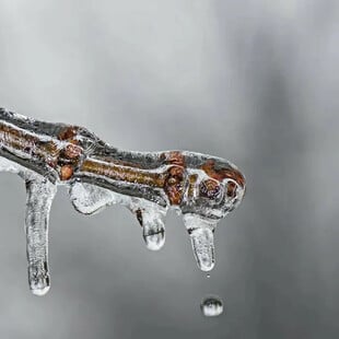 ΚΑΙΡΟΣ ΚΑΛΛΙΑΝΟΣ ΧΙΟΝΙΑ