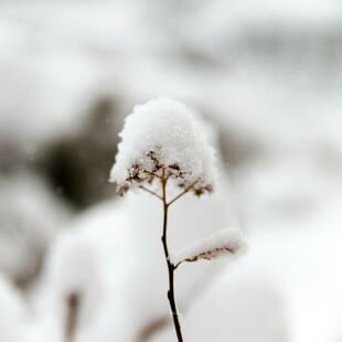 Καιρός - Τσατραφύλλιας: Ψυχρή εισβολή με θυελλώδεις ανέμους, καταιγίδες και χιόνια σήμερα στη χώρα