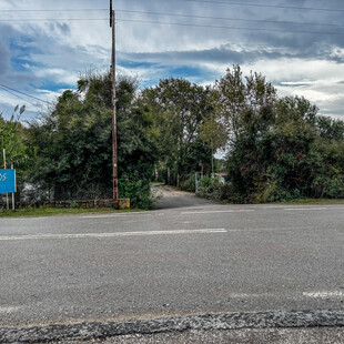 ΦΟΙΝΙΚΟΥΝΤΑ ΔΟΛΟΦΟΝΙΑ ΑΝΙΨΙΟΣ ΤΕΧΝΗΤΗ ΝΟΗΜΟΣΥΝΗ