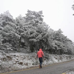 ΚΑΙΡΟΣ ΓΙΩΡΓΟΣ ΤΣΑΤΡΑΦΥΛΛΙΑΣ