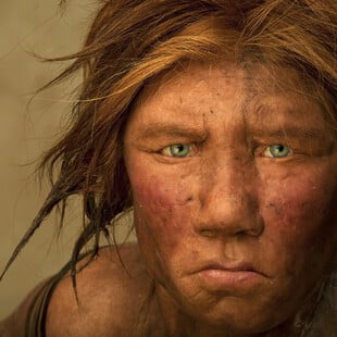 ΕΡΕΥΝΑ ΠΟΝΟΣ ΝΕΑΝΤΕΡΤΑΛ