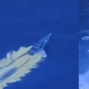 ΗΠΑ ΚΑΡΑΪΒΙΚΗ ΝΤΟΝΑΛΝΤ ΤΡΑΜΠ