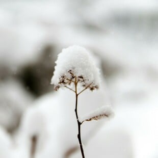 Μαρουσάκης: Προειδοποιεί για νέα κακοκαιρία - Έρχεται ψυχρή εισβολή το Σαββατοκύριακο