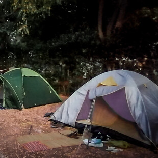 ΦΟΙΝΙΚΟΥΝΤΑ ΔΟΛΟΦΟΝΙΑ ΑΠΟΛΟΓΙΑ