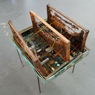 Ειρήνη Ταμπασούλη: Nidus