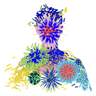 Γιατί αυξάνονται τα κρούσματα της γρίπης και πόσο μας προστατεύει το εμβόλιο; 