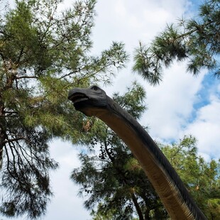 ΔΕΙΝΟΣΑΥΡΟΣ ΗΠΑ