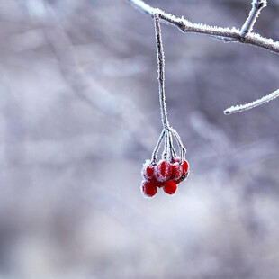 Καιρός: Θυελλώδης βοριάς από τη Μαύρη Θάλασσα φέρνει ψύχος και χιόνια σήμερα στη χώρα