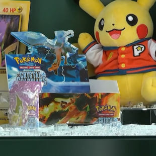 POKEMON ΛΗΣΤΕΙΑ