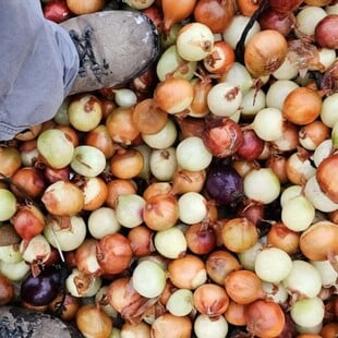 ΠΑΤΑΤΕΣ ΚΡΕΜΜΥΔΙΑ ΜΕΓΑΛΗ ΒΡΕΤΑΝΙΑ ΠΛΟΙΟ