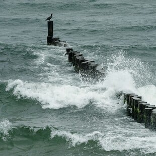 ΚΑΚΟΚΑΙΡΙΑ 112 ΜΗΝΥΜΑΤΑ ΜΕΤΑΚΙΝΗΣΕΙΣ