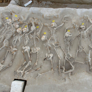 ΔΕΣΜΩΤΕΣ ΦΑΛΗΡΟ ΑΝΑΣΚΑΦΗ ΑΝΑΔΕΙΞΗ