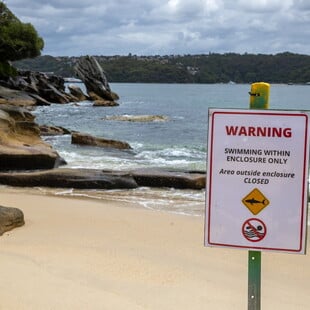 ΑΥΣΤΡΑΛΙΑ ΕΠΙΘΕΣΗ ΚΑΡΧΑΡΙΑ ΝΕΚΡΟΣ 12ΧΡΟΝΟΣ