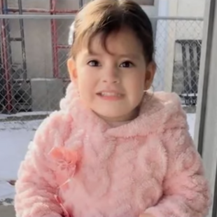 ICE ΣΥΛΛΛΗΨΗ ΑΝΗΛΙΚΗΣ ΗΠΑ ΜΙΝΕΣΟΤΑ