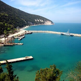 ΝΗΣΙ ΤΡΑΜΠ ΑΛΒΑΝΙΑ ΠΕΡΙΒΑΛΛΟΝΤΙΚΕΣ ΕΝΩΣΕΙΣ