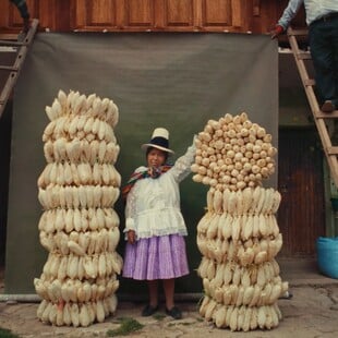 Στην χώρα των γιγάντων
