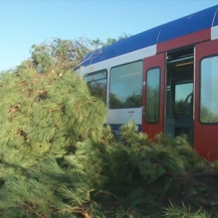 ΔΕΝΤΡΟ ΤΡΕΝΟ ΠΥΡΓΟΣ ΚΑΤΑΚΟΛΟ