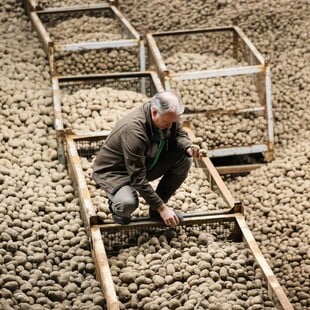 ΓΕΡΜΑΝΙΑ ΠΑΤΑΤΕΣ