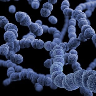 ΣΗΨΗ ΦΑΡΜΑΚΟ ΑΝΘΡΩΠΟΙ