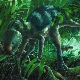 ΔΕΙΝΟΣΑΥΡΟΙ ΑΠΟΛΙΘΩΜΑΤΑ ΕΞΕΛΙΞΗ