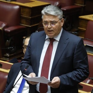 ΔΗΜΗΤΡΗΣ ΝΑΤΣΙΟΣ ΟΜΟΦΥΛΟΦΙΛΟΙ ΨΗΦΟΔΕΛΤΙΑ