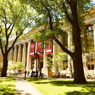 ΧΑΡΒΑΡΝΤ ΤΡΑΜΠ ΑΠΟΖΗΜΙΩΣΗ